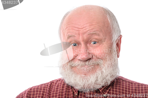 Image of Senior man shows surprised smile facial expression, isolated on white