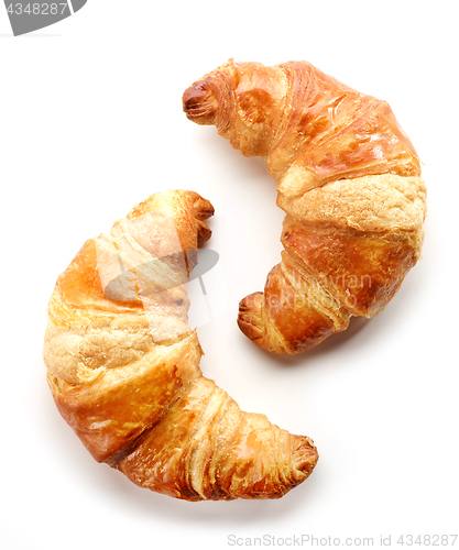 Image of freshly baked croissants