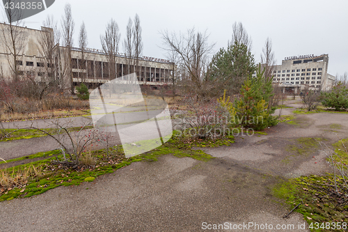 Image of Central square in overgrown ghost city Pripyat.