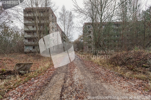 Image of Abandoned buildings in overgrown ghost city Pripyat.