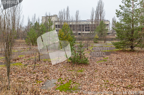 Image of Central square in overgrown ghost city Pripyat.