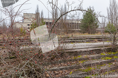 Image of Central square in overgrown ghost city Pripyat.