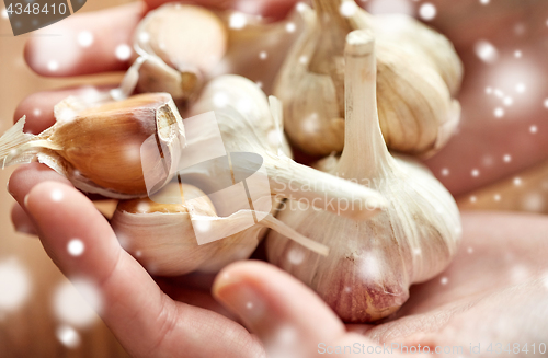 Image of close up of woman hands holding garlic