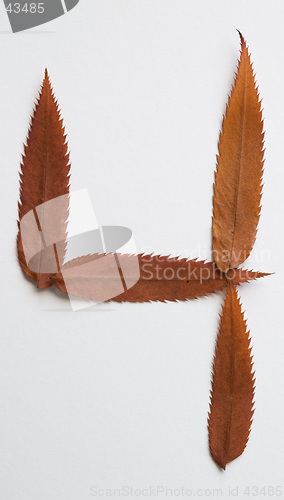 Image of 4 four number: alphabet and numbers with autumn brown red dry leaf on white background