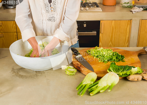 Image of Cabbage kimchi and sauerkraut 