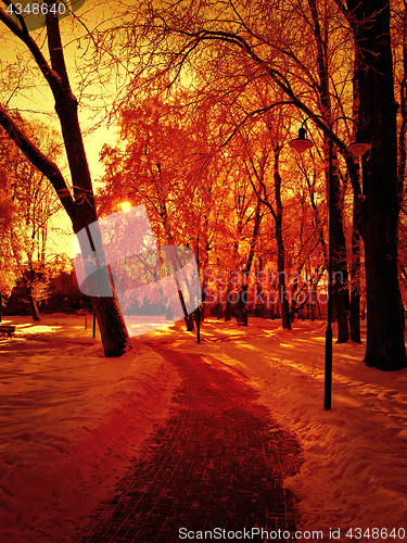 Image of winter park