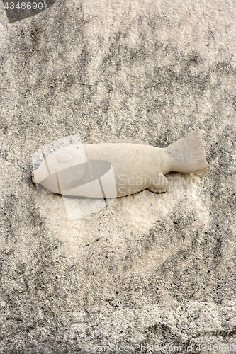 Image of Fish in the Stone