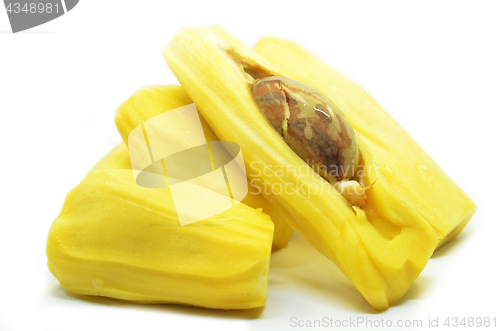 Image of Ripe jackfruit isolated