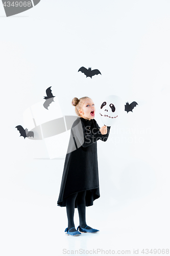 Image of Little girl witch in black dress over magical accessories. Halloween, the studio evening.