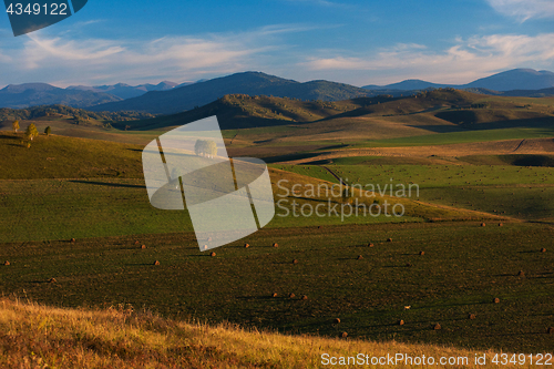 Image of Beauty summer evening in the mountains