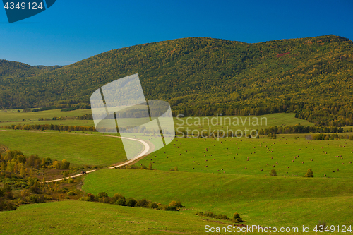 Image of Road at the Altay mountains