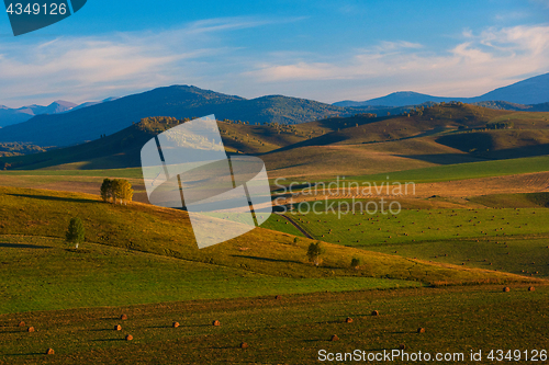 Image of Beauty summer evening in the mountains