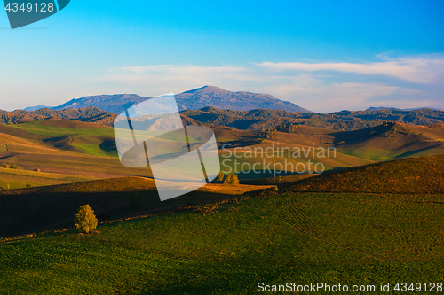 Image of Beauty summer evening in the mountains