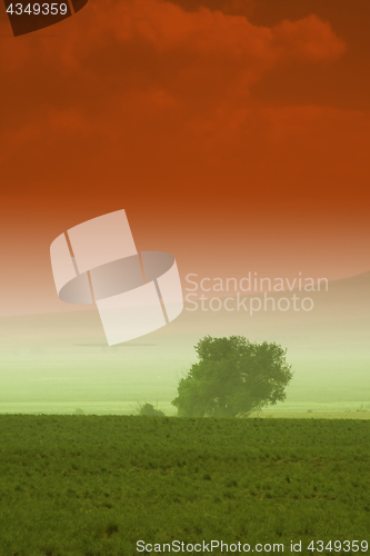 Image of Tree behind a farm