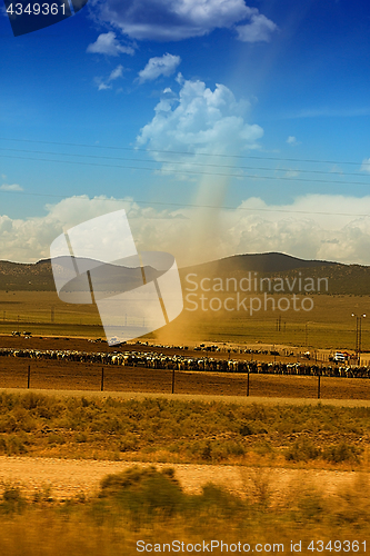 Image of Rural Scene with Cows