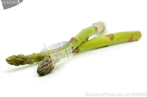 Image of Delicious isolated asparagus