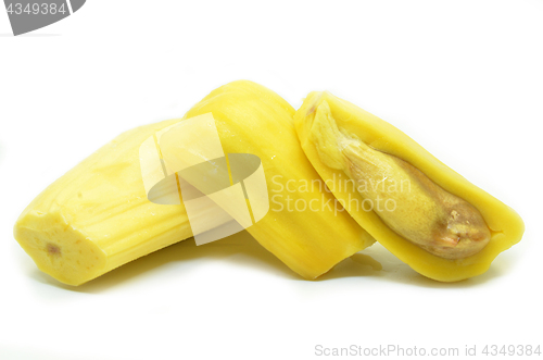 Image of Ripe jackfruit isolated