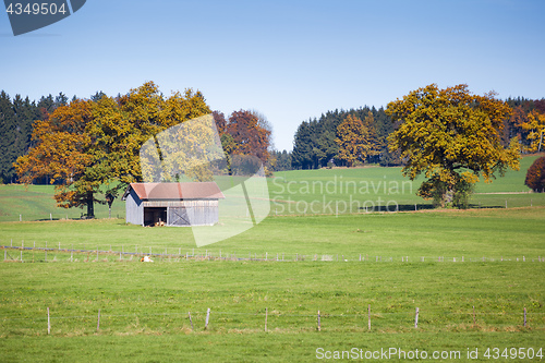 Image of bavarian autumn landscape germany