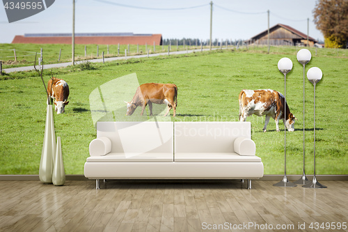 Image of photo wall mural cows