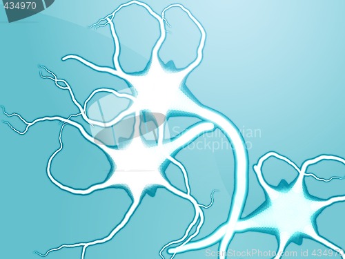 Image of Nerve cells illustration