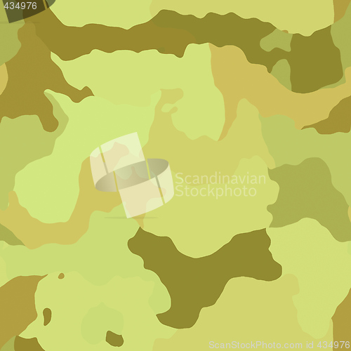 Image of Camouflage pattern