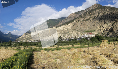 Image of Marpha village and apple gardens in Mustang