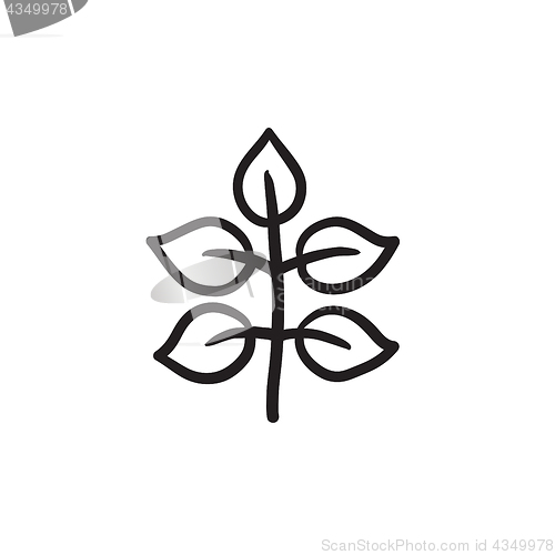 Image of Branch with leaves sketch icon.