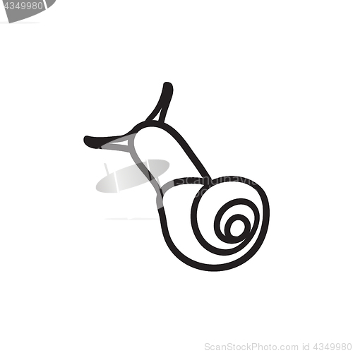 Image of Snail sketch icon.