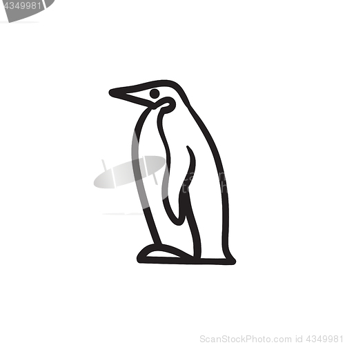 Image of Penguin sketch icon.