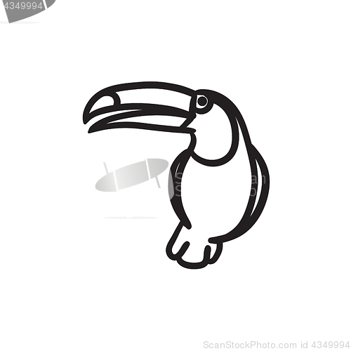 Image of Toucan sketch icon.