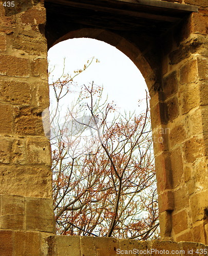 Image of Window beauty