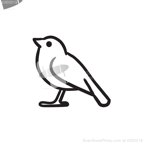 Image of Bird sketch icon.