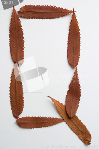 Image of Q letter: alphabet and numbers with autumn brown red dry leaf on white background