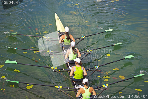 Image of Team of rowing Four-oar women in boat 