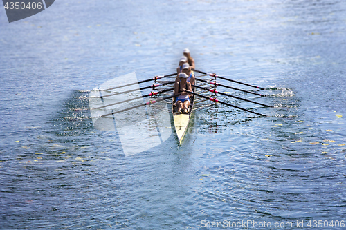 Image of Team of rowing Four-oar women in boat 