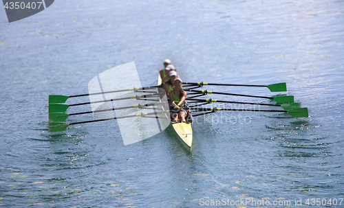 Image of Team of rowing Four-oar women in boat 