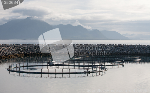 Image of fish farm in open sea