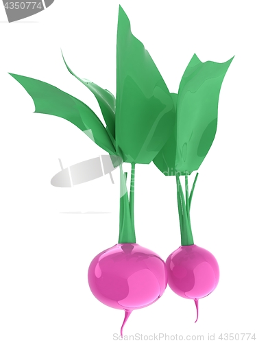 Image of Small garden radish isolated on white background. 3d illustratio