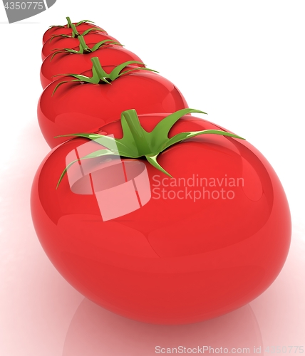 Image of tomato. 3d illustration