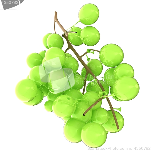 Image of Healthy fruits Green wine grapes isolated white background. Bunc