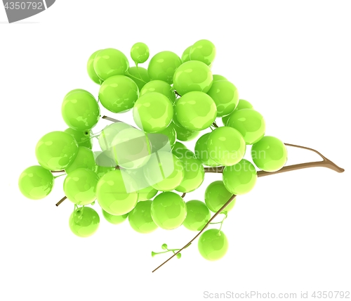 Image of Healthy fruits Green wine grapes isolated white background. Bunc