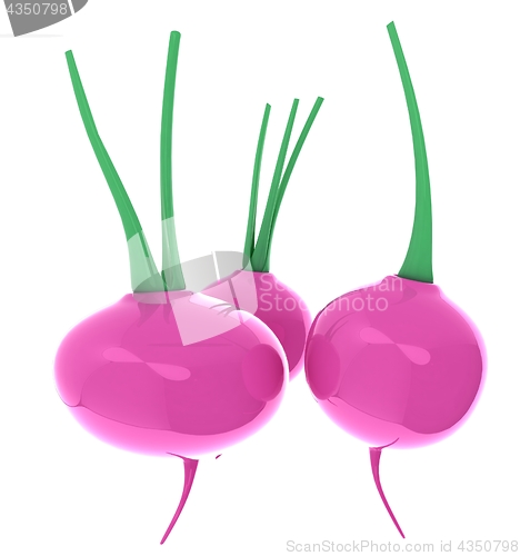 Image of Small garden radish isolated on white background. 3d illustratio