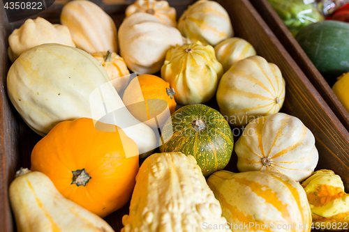 Image of Assorted pumpkin