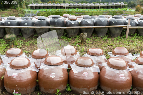 Image of Vinegar Barrel