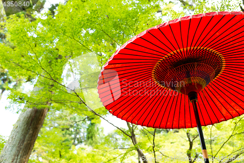 Image of Red umbrella with green tree