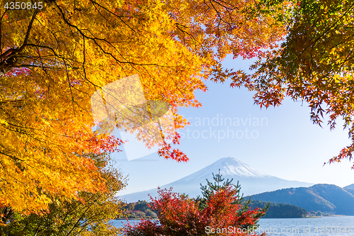 Image of Mt Fuji in autumn view from lake Kawaguchiko