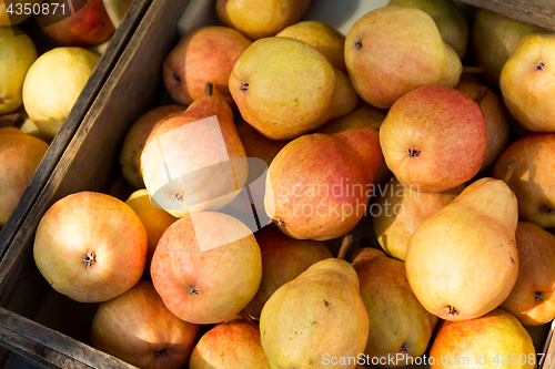Image of Stack of pear