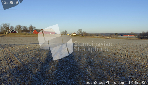 Image of Farmland in the winter