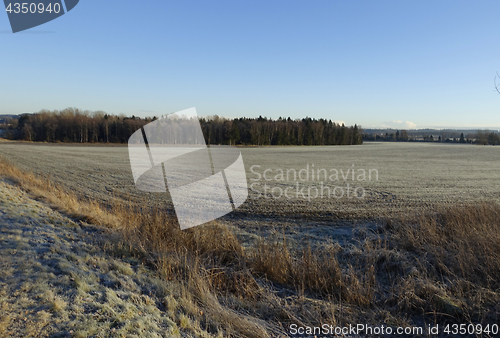 Image of Farmland in the winter