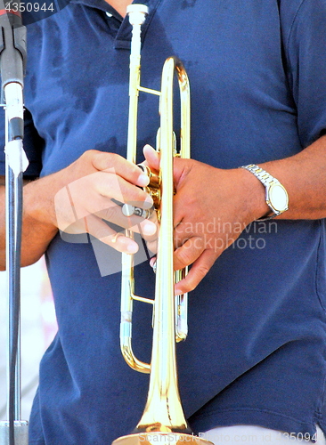 Image of Male jazz musician.